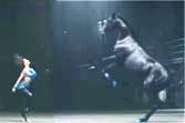 Dance-Off With A Horse
